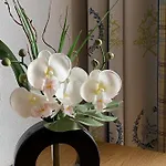 Appartement-hotel Happy Kienberg 3* פפרונטן