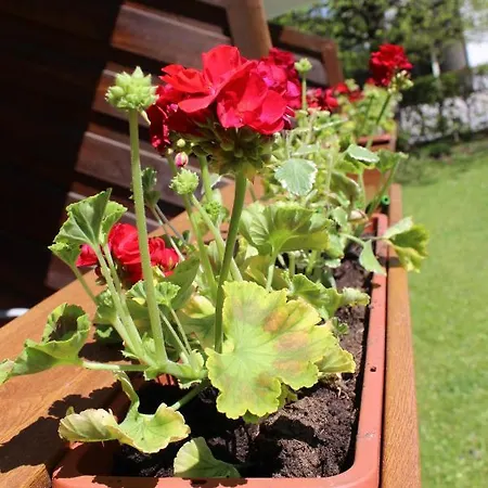 快乐吉恩贝格公园式酒店