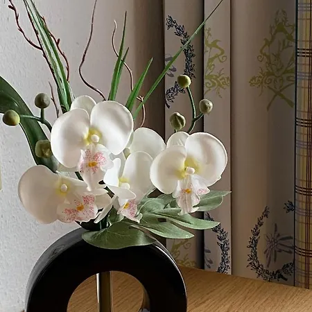 快乐吉恩贝格公园式酒店 3* 普夫龙滕